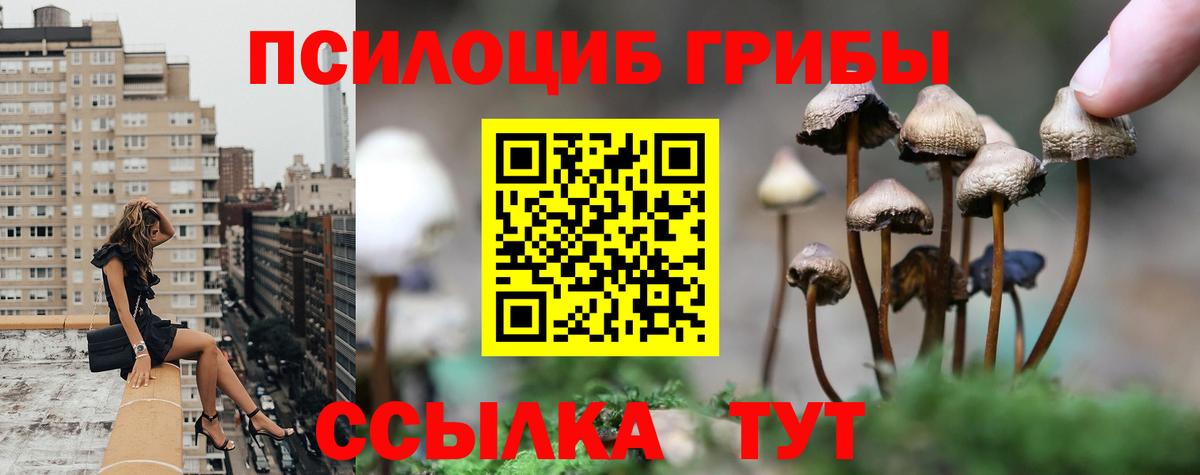 Галлюциногенные грибы ЛСД Обнинск